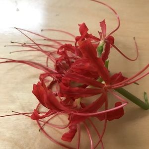 Meet your Posher, Krista